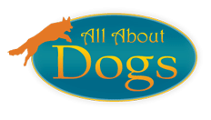 All About Dogs Inc