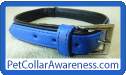 Pet Collar Awareness