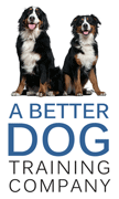 A Better Dog Training