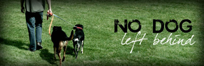 No Dog Left Behind