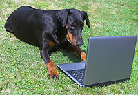 Doberman computer