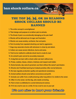 THE TOP 20 REASONS SHOCK COLLARS SHOULD BE BANNED